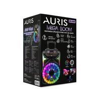 Auris KLN80 8000W Speaker Mikraofonlu (63/33/44 cm)